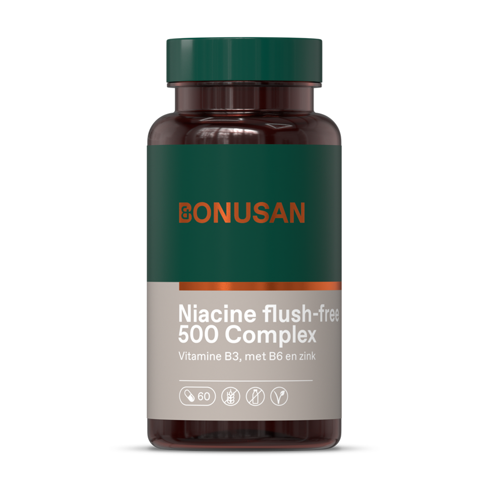 Niacin Flush Free 500mg