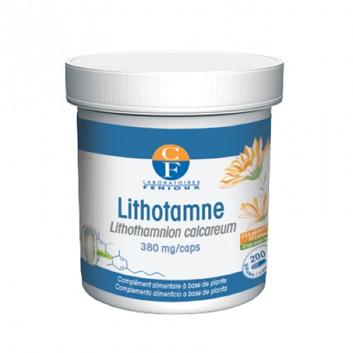 Lithotame